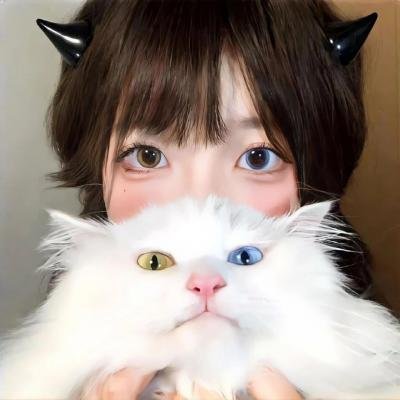 战国妖姬在线观看