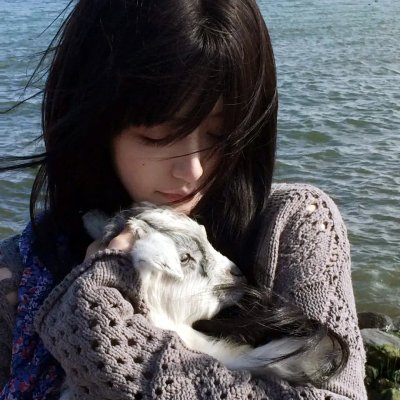 犹太狮子在线观看